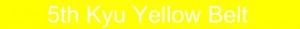 5th Kyu Yellow Belt