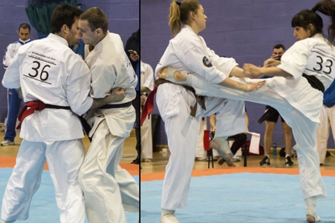 Tournament Results-Kyokushin Cup 2019 The 6th All UK Open