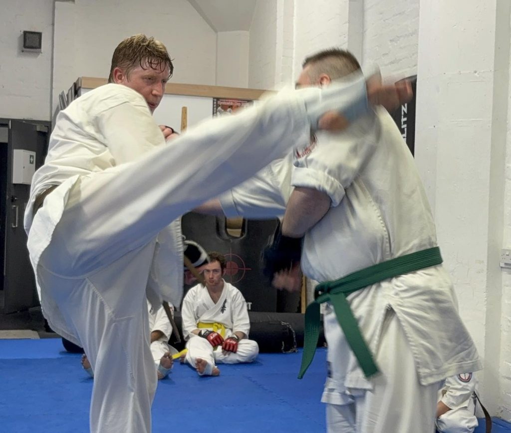 30th Kyu and Annual Dan Examination