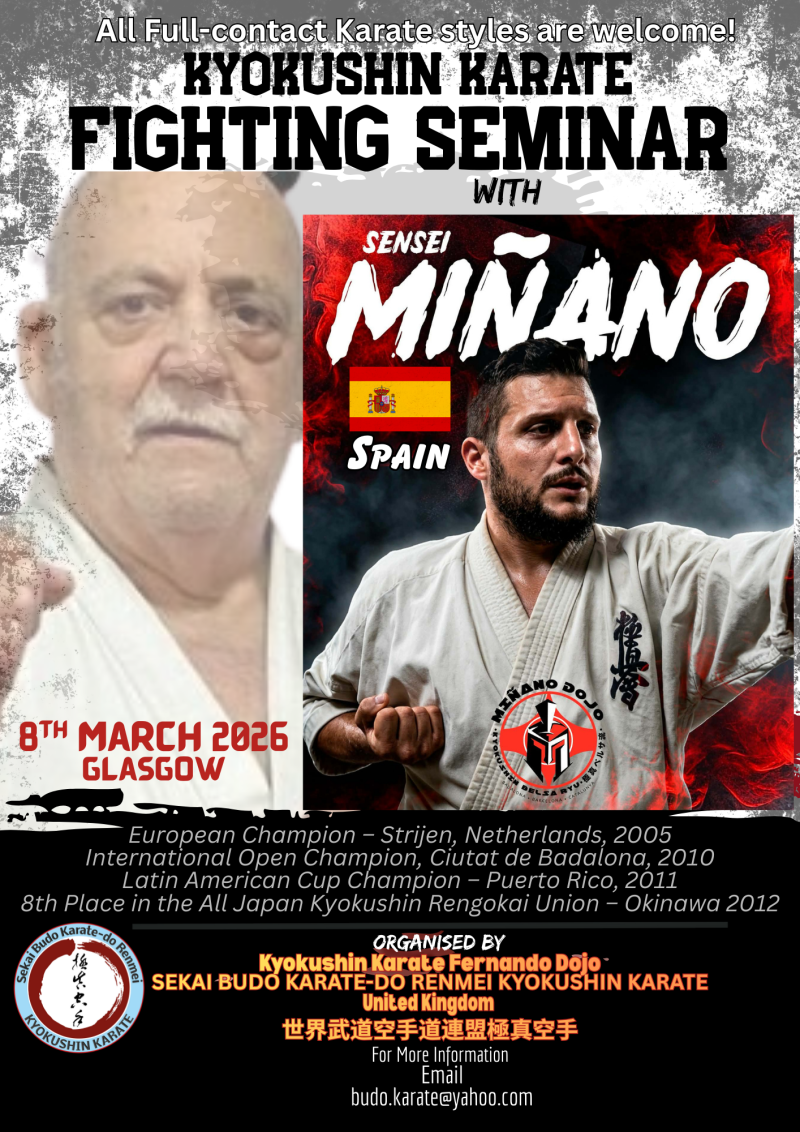Kumite Seminar with Sensei Minano